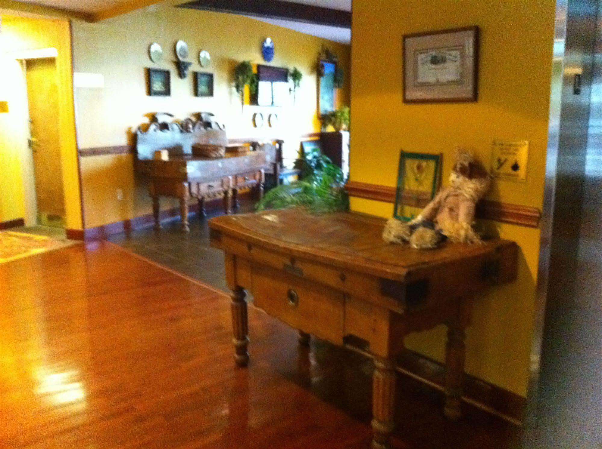 Hotel Trailborn 4*
